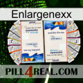 Enlargenexx kamagra1